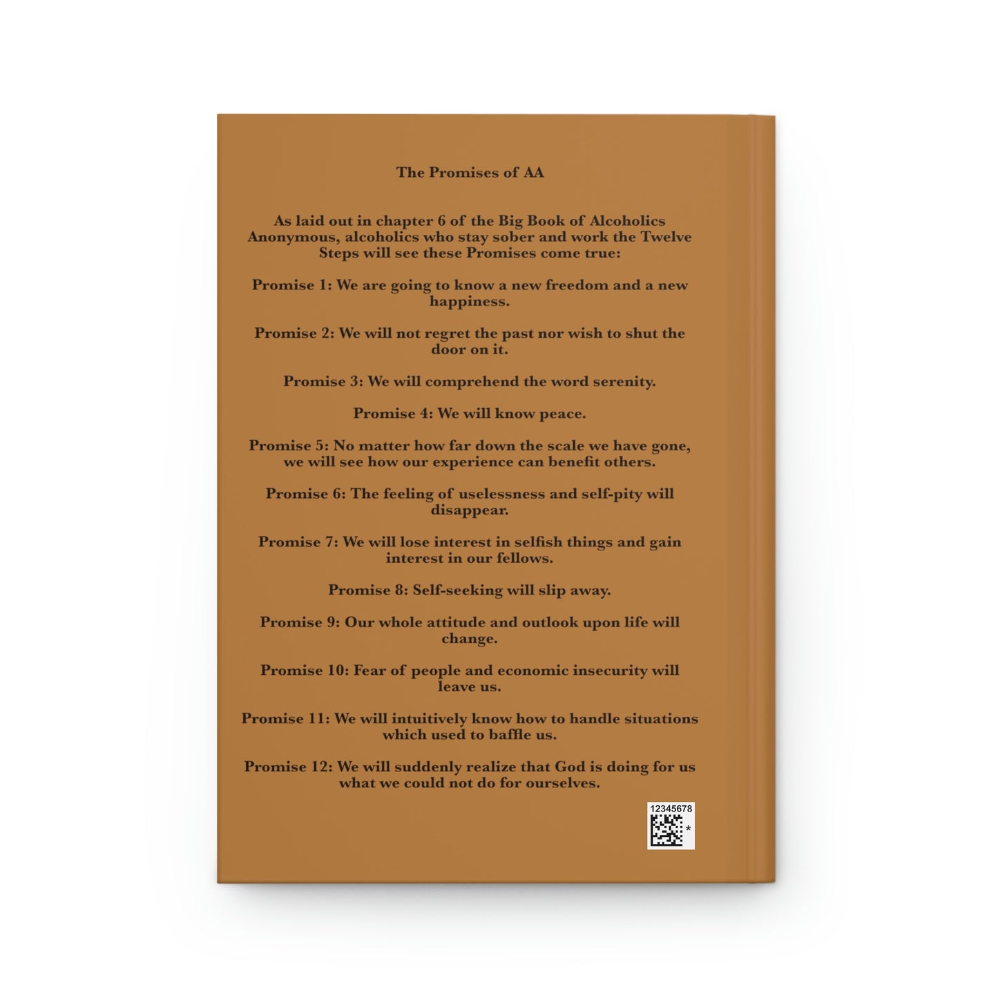 We are not Saints Step Work Notebook / Journal for people working the 12 steps of Recovery